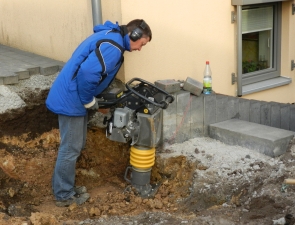 BVT65_9